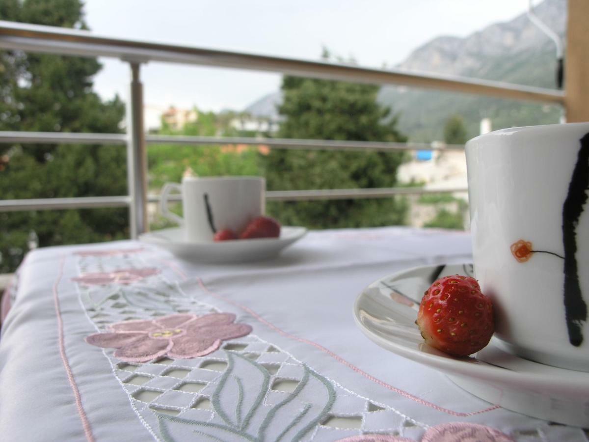 Musa Apartment Gradac  Exterior foto